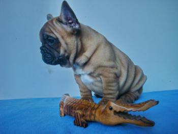 Прикрепленное изображение: DSC01643.JPG